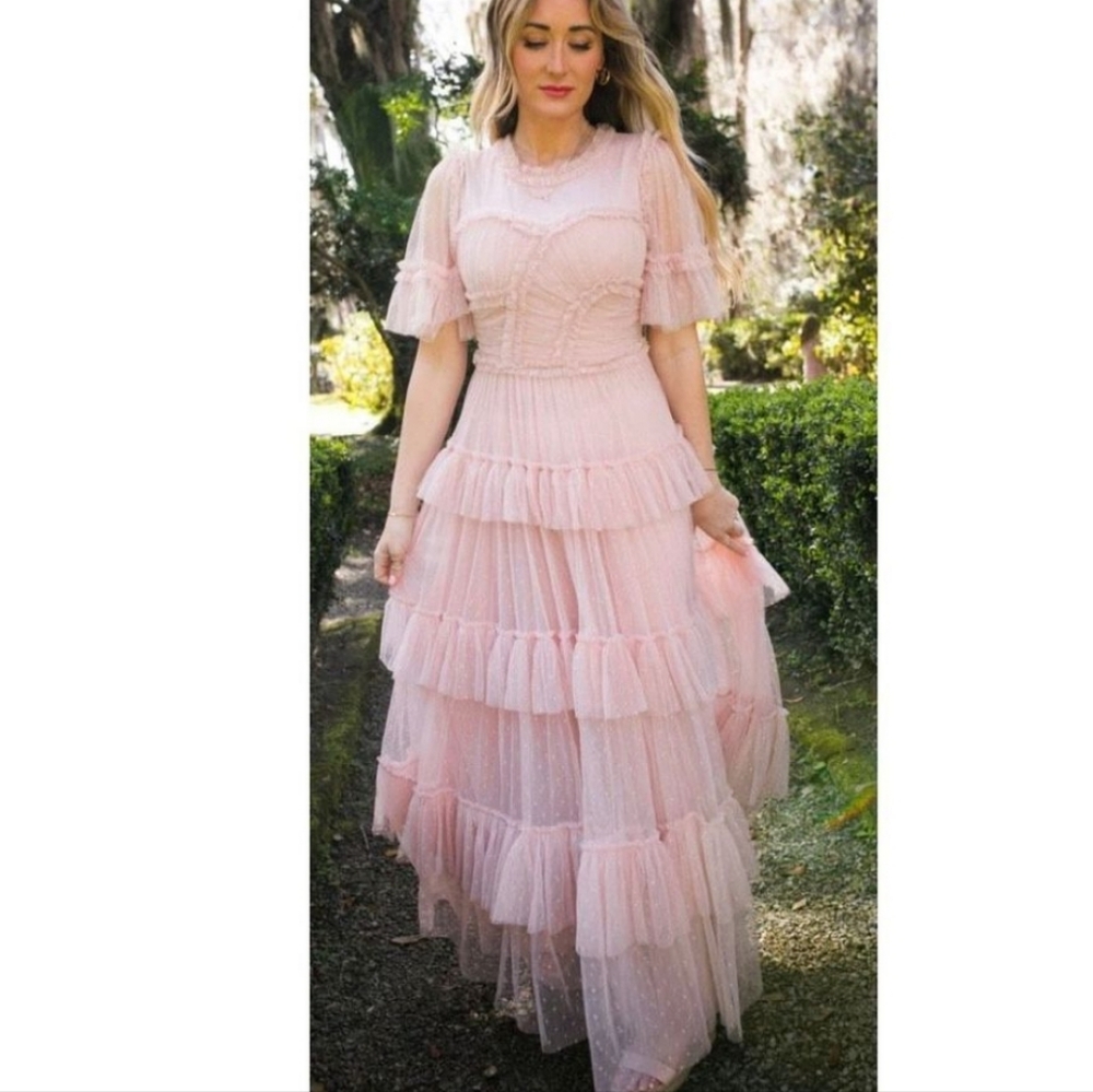 NWT Whimsical Dress in Blush